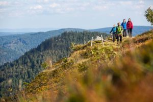 Höchste Gipfel im Hoch- und Süd-Schwarzwald